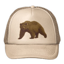 Urso de Brown Bones