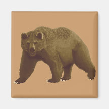 Urso de Brown Imãs De Geladeira
