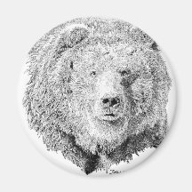 Urso de Grizzy Imas