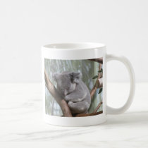 urso de koala canecas