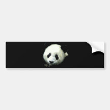 Urso de panda adesivo