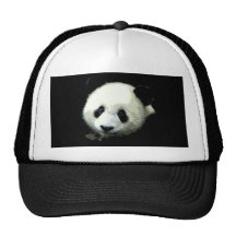 Urso de panda bone
