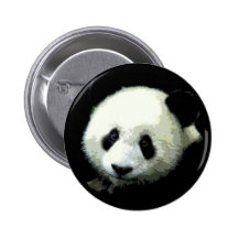 Urso de panda botons