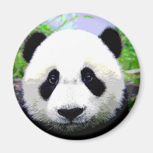 Urso de panda imãs de refrigerador