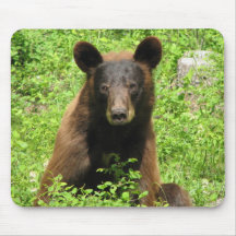 Urso Mousepad 1