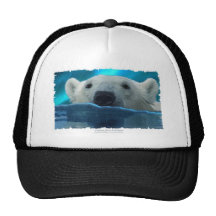 URSO POLAR NADADOR BONÉ