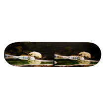 Urso polar Stereophoto Skate