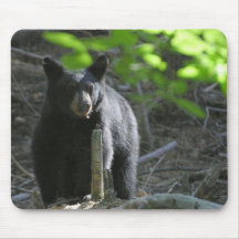 Urso preto mousepad