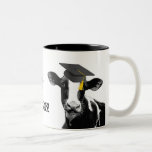 Vaca engraçada da graduação dos parabéns no boné caneca