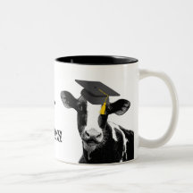 Vaca engraçada da graduação dos parabéns no boné caneca