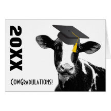 Vaca engraçada da graduação dos parabéns no boné cartao