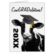 Vaca engraçada da graduação dos parabéns no boné cartoes