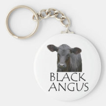 Vaca preta de Angus Chaveiro