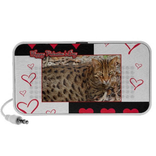 val-bengal-cat-00034-65x45 caixinha de som portátil