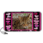 val-bengal-cat-00037-65x45 caixinha de som para viagem