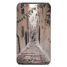 Vale Capas iPod Touch