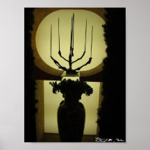 Vaso na sombra poster