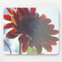 Verão do girassol mouse pad