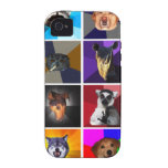 Versão animal 1 do capa de iphone 4 do conselho capas casemate