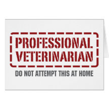 Veterinário profissional cartao