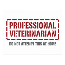 Veterinário profissional cartoes postais