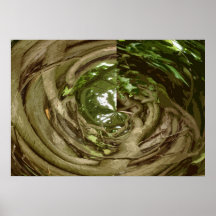 VIDEIRA ABSTRATA POSTER