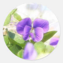 Violeta bonita do primavera adesivos em formato redondos