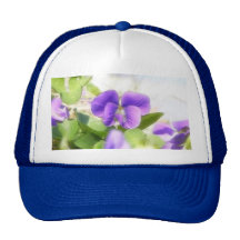 Violeta bonita do primavera bone