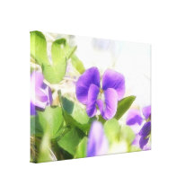 Violeta bonita do primavera impressão de canvas envolvida