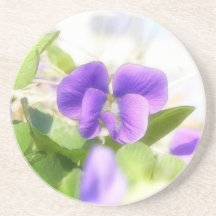 Violeta bonita do primavera porta copo