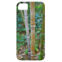 Viril, masculino, de bambu, asiático, caso de Ipho Capa iPhone 5