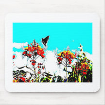 Visitando o pássaro de paraíso mouse pad