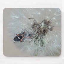 Você chanfrado vê-me mousepad