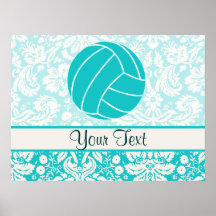 Voleibol da cerceta posters