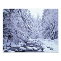 WA, floresta nacional do Padeiro-Snoqualmie da mon Artes De Fotos