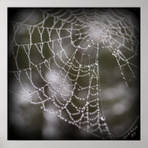 Web da pérola impressão