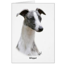 Whippet 9Y205D-231 Cartoes