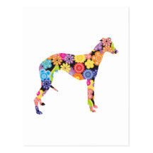 Whippet Cartao Postal