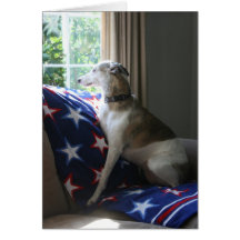 Whippet "que falta o" cartão