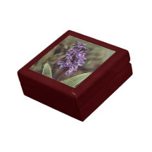 Wildflower: Caixa de presente das orquídeas de rox