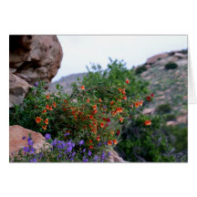 Wildflowers Cartao