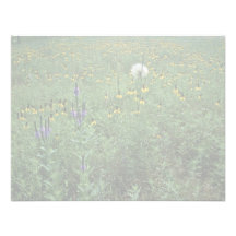 Wildflowers de South Dakota Convite Personalizados