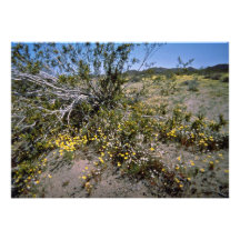 Wildflowers pequenos sob flores da escova convites personalizado