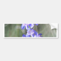 Wildflowers roxos bonito adesivo