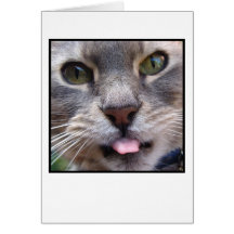 withTongue do gato para fora Cartao