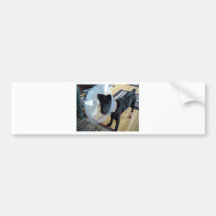 www.dallastraxx.com adesivo