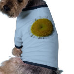 yellow_daisy_detail-800x600 colhido camisas para cães