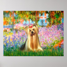 Yorkshire terrier 1 - Jardim Posters
