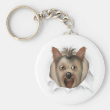 Yorkshire terrier que rebenta para fora chaveiro
