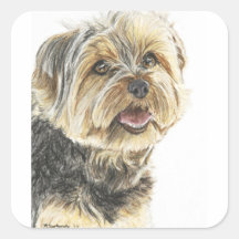 YorkshireTerrier.jpg Adesivo Em Forma Quadrada